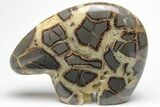 Calcite Crystal Filled, Polished Septarian Bear - Utah #207772-1